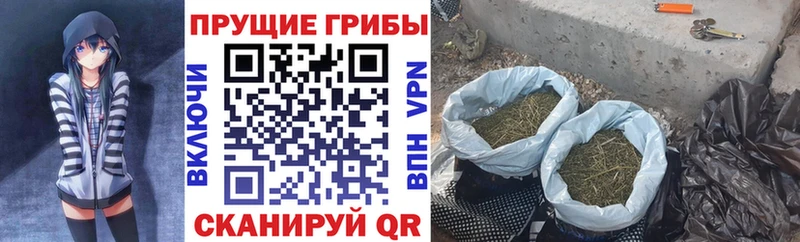 Галлюциногенные грибы мухоморы  наркота  Сургут 